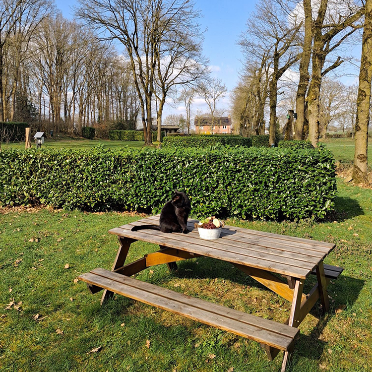 Camping Buitengeluk Bergharen, Land van Maas & Waal, ruime, groene staanplaatsen voor tent, caravan of camper