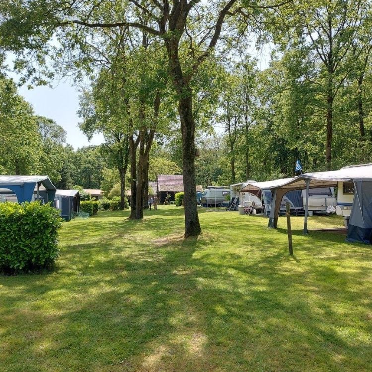 mini boeren Camping Buitengeluk Bergharen, Land van Maas & Waal, ruime, groene staanplaatsen voor tent, caravan of camper